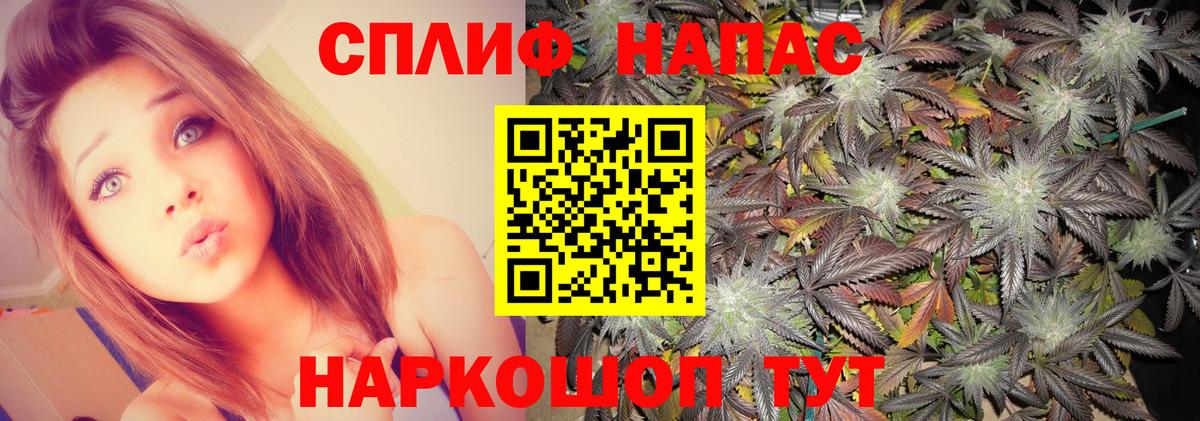 Каннабис AK-47 Моздок